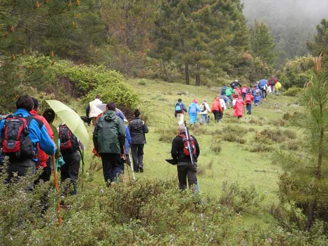 El programa «Paseando por los senderos 2011» lleva a 230 personas por espacios naturales de Sierra Mágina, Sierra Morena y la Sierra de Segura