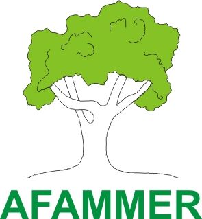 AFAMMER organiza un curso de «Auxiliar de enfermería geriátrica»