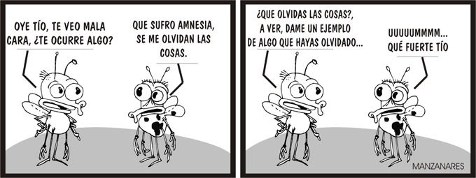 Moscas -13-