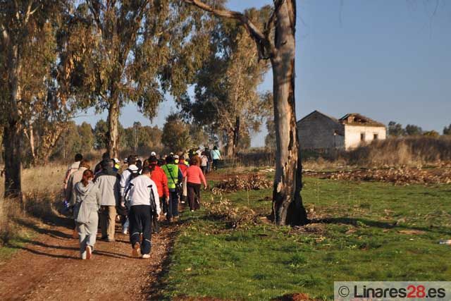 Linares celebra la festividad de Santa Bárbara