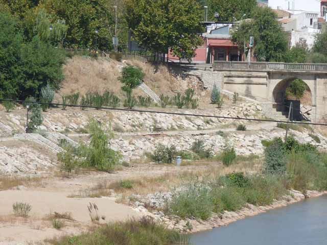 La Diputación va a iniciar los trabajos para restaurar la vegetación y la fauna del cauce del Guadalimar en la Estación Linares-Baeza