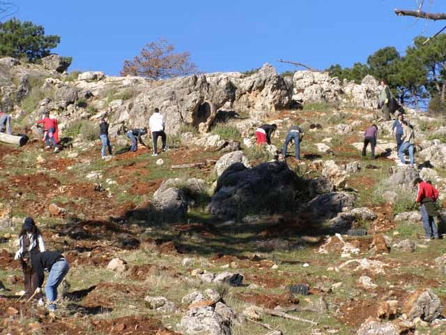 La UJA participa la próxima semana en una campaña de reforestación participativa de voluntariado ambiental que tendrá lugar en la Sierra de Cazorla