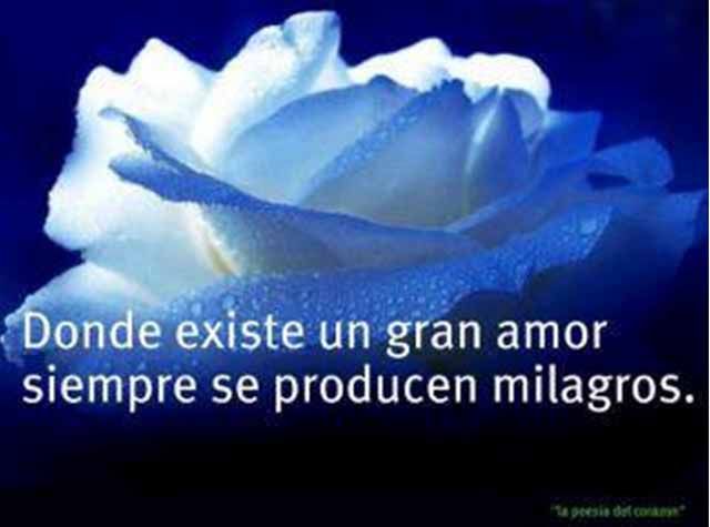 Donde existe un gran amor siempre se producen milagros