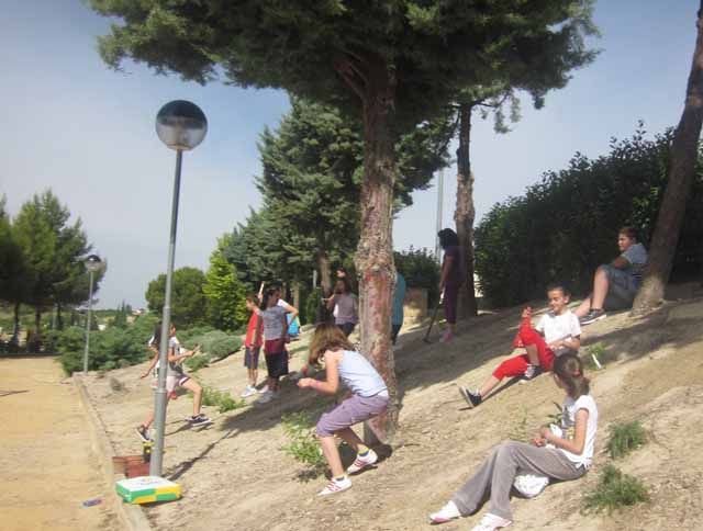 Las campañas de reforestación compostada de la Diputación han permitido sembrar 60.000 plantas en 70 municipios