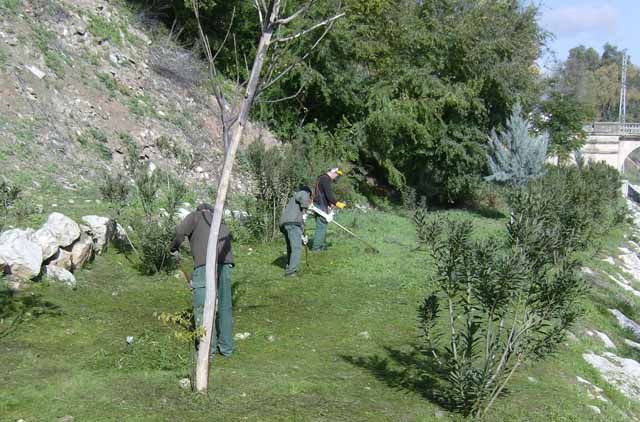 Trabajos de forestación en la Estación Linares-Baeza