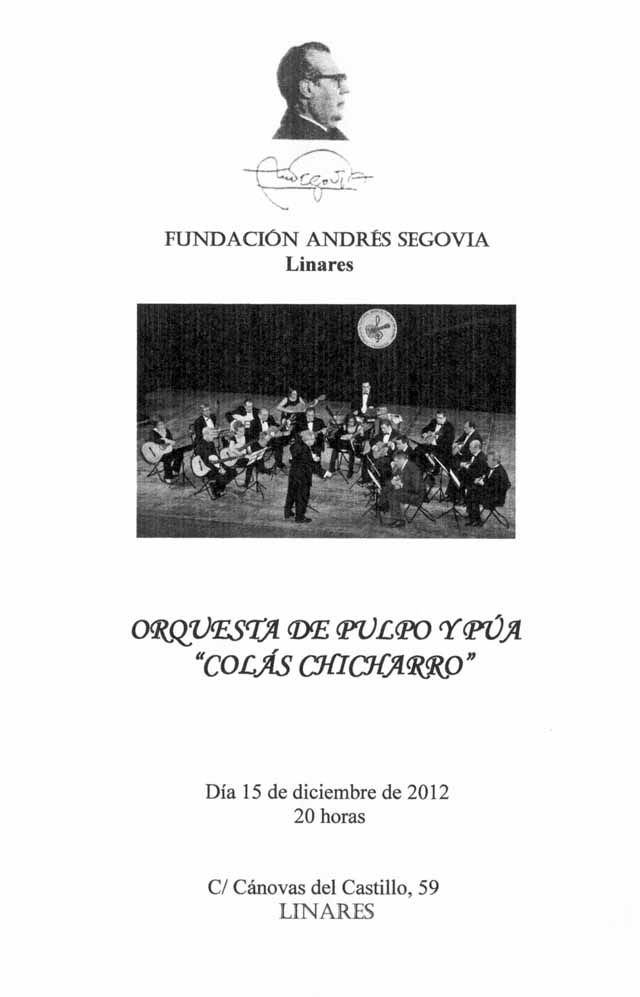 Concierto orquesta de pulso y púa «Colás Chicharro»