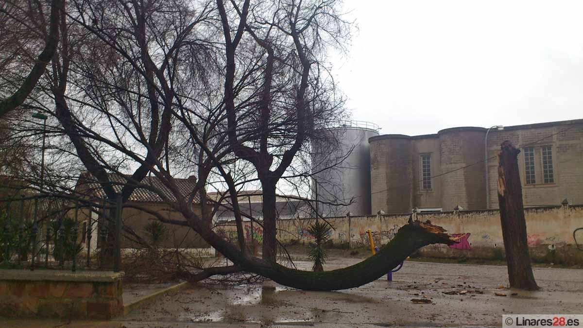 El temporal provoca múltiples incidencias en Linares