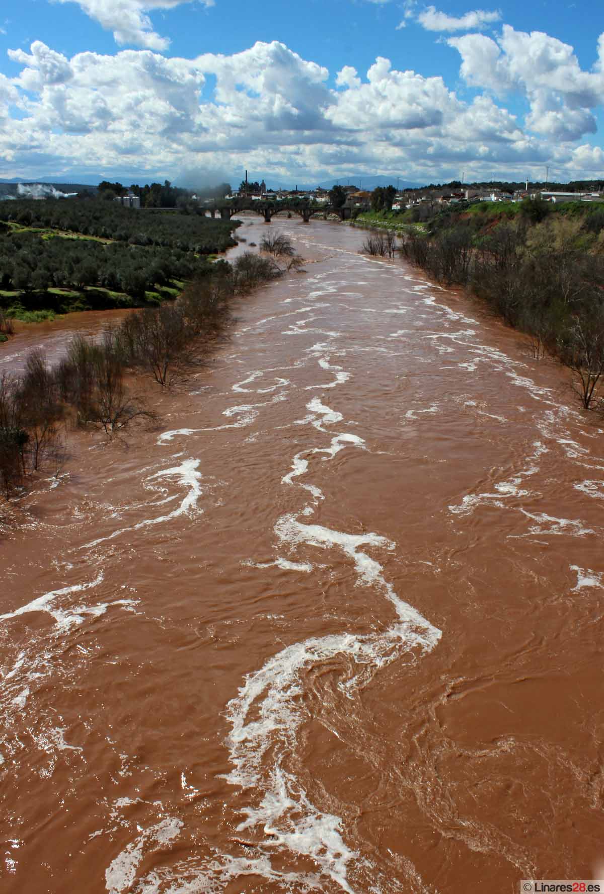 El espectáculo del agua en Linares