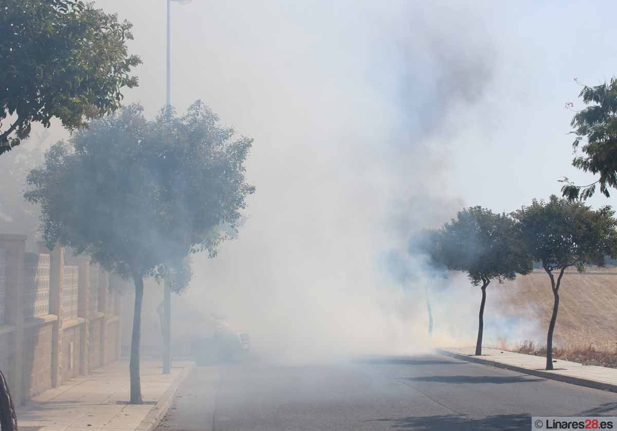 Seguridad Ciudadana recuerda las restricciones con motivo de la proximidad del verano y el ascenso de las temperaturas