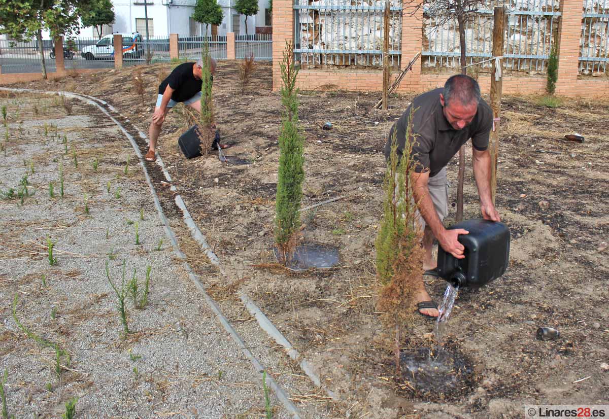 Denuncian dejadez en zonas verdes de la Estación de Linares-Baeza