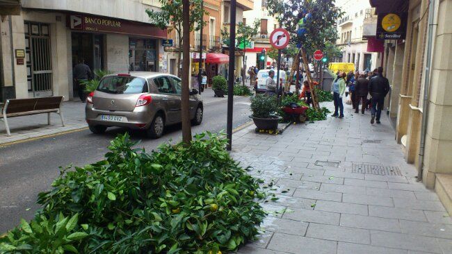 Siguen las podas en el centro de Linares