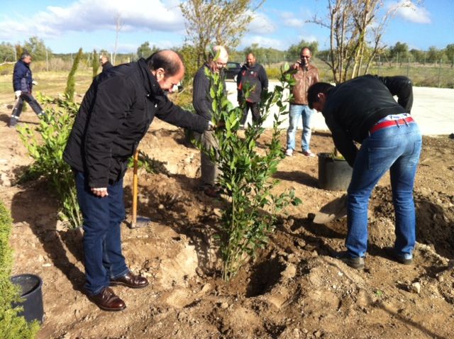 El Ayuntamiento inicia la replantación del yacimiento de Cástulo