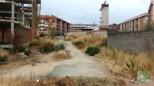 EL PA, EXIGE AL AYUNTAMIENTO CELERIDAD EN BUSCAR UNA  SOLUCIÓN A LOS TERRENOS DEL RESIDENCIAL JACARANDA