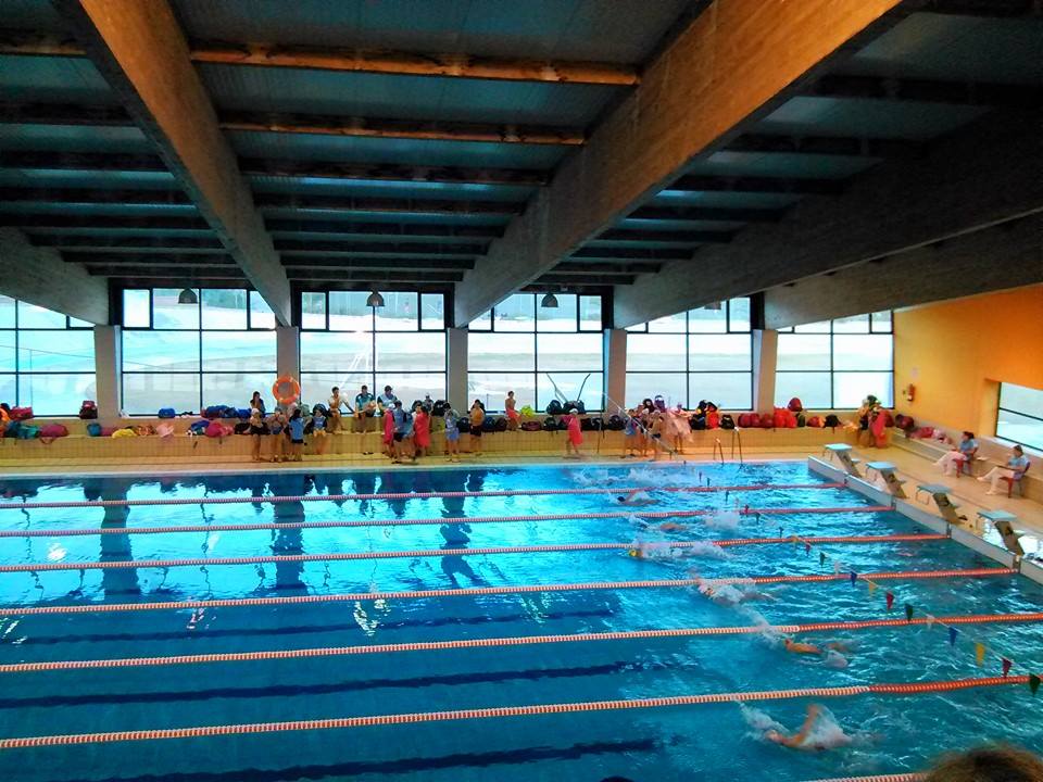 Nace el Club Solidari@s Sport Natación