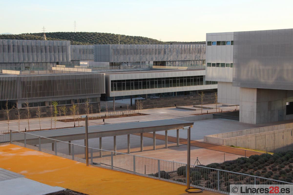 El ranking ‘THE’ consolida a la Universidad de Jaén entre las 1.000 mejores del mundo