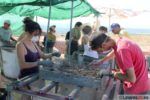 Campos de Trabajo IAJ en Cástulo