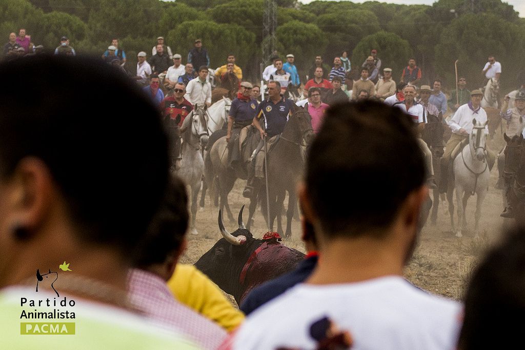 EL TORO DE LA VEGA