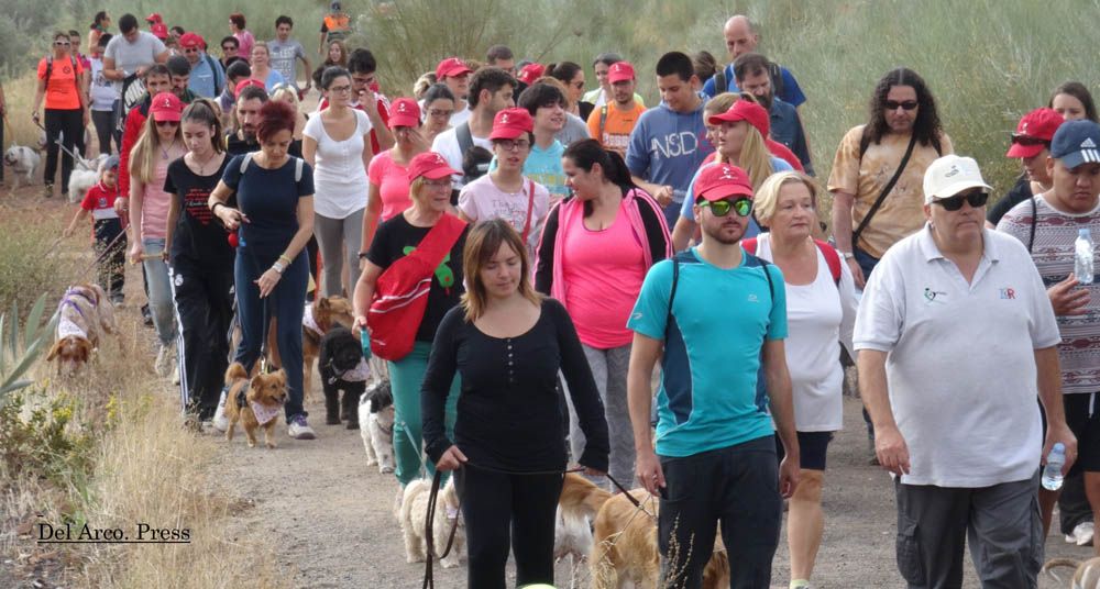 «I MARCHA POR UNA CAUSA» DE ARCONATURA