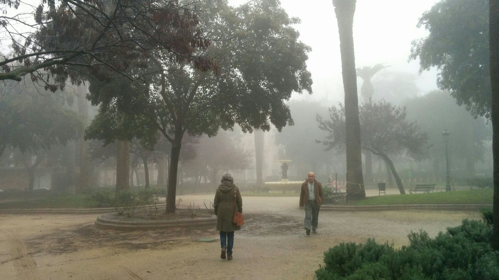 Día de niebla en Linares