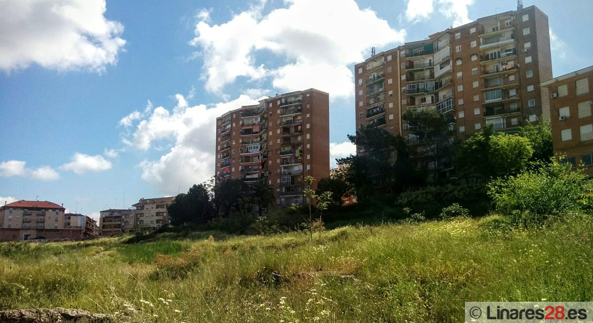 El Ayuntamiento recuerda a propietarios la limpieza de solares y terrenos