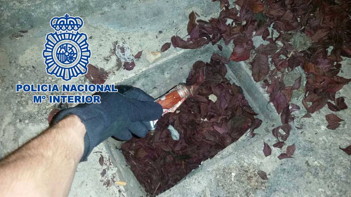 La Policía Nacional detiene en Linares a un joven que había apuñalado a su hermano tras una discusión