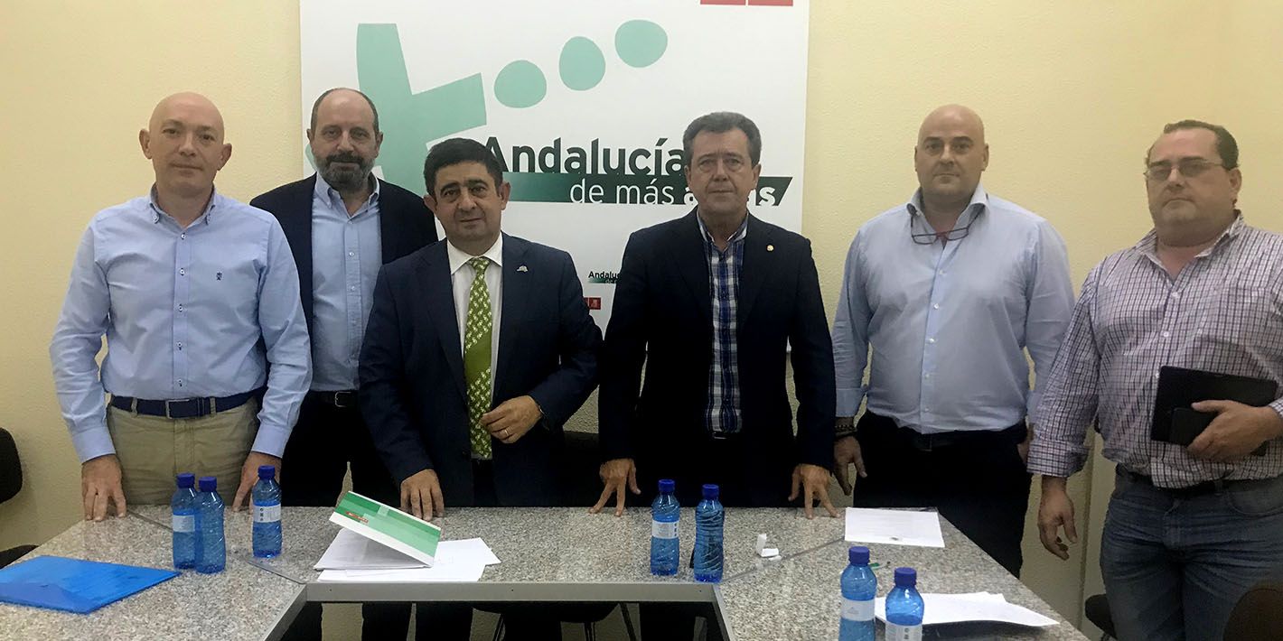 La Plataforma Todos a Una por Linares se reúne con el PSOE provincial