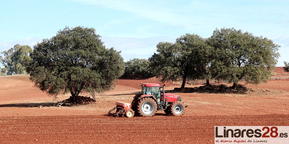 El próximo lunes comienza el plazo para tramitar la Solicitud Única de la PAC 2021