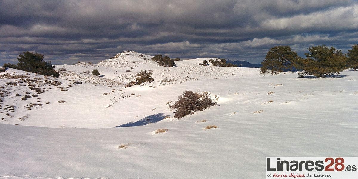 El PSOE de Linares organiza una ponencia bajo el título «Ley de Cambio Climático»