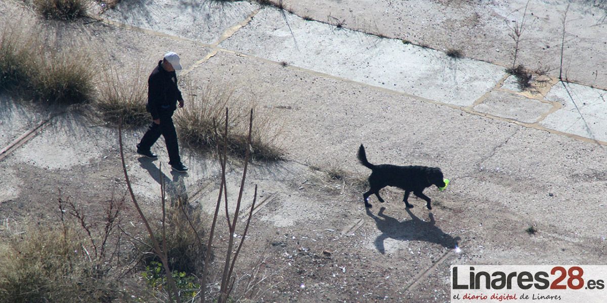 Policía Local vigilará para evitar que los perros «anden sueltos»