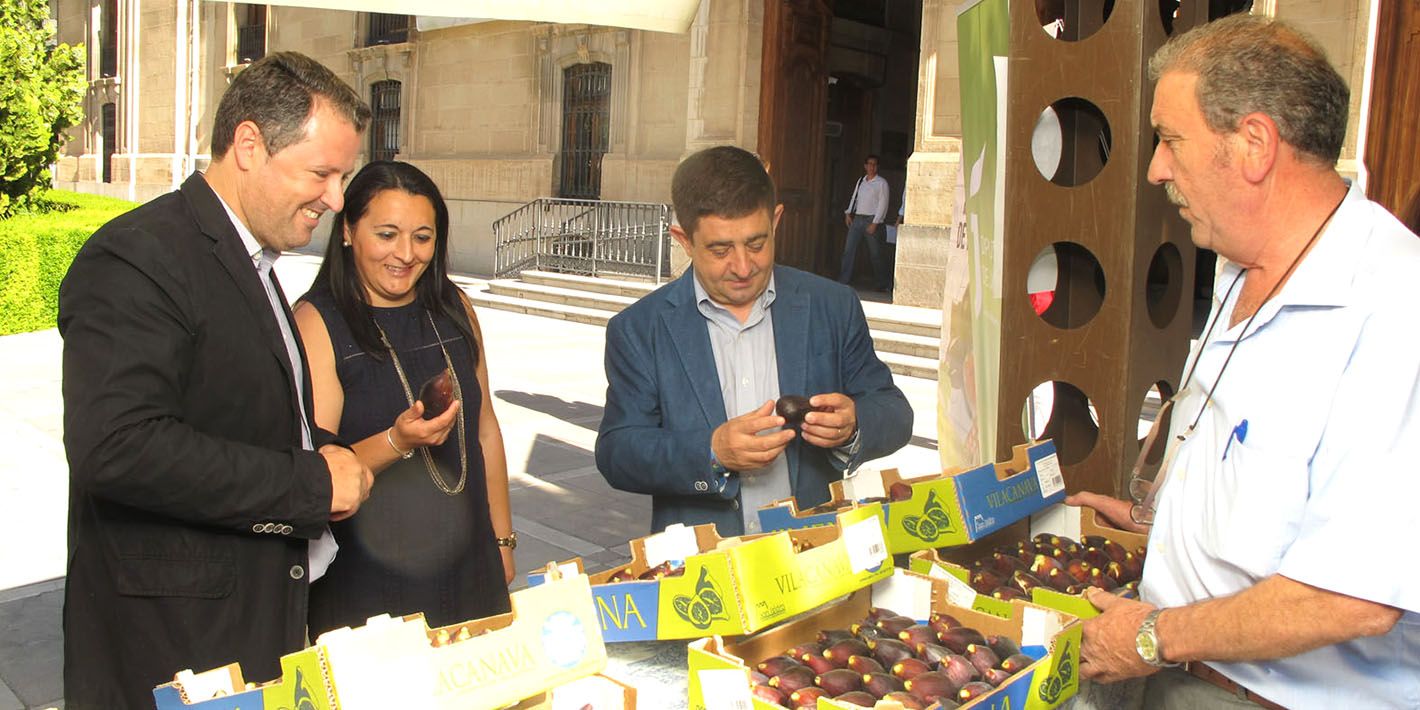 La «Feria de la Breva» tendrá parada en Linares