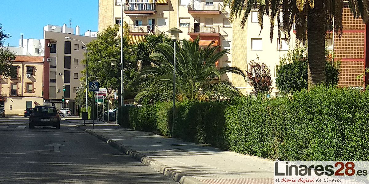 Policía Local recuerda que las plantas y árboles privados no pueden invadir la vía pública