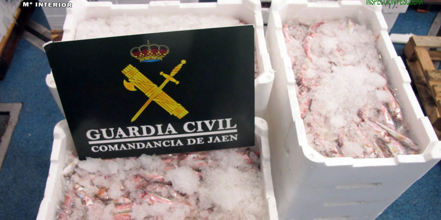 SUCESOS | La Guardia Civil interviene 80 Kg. de pescado inmaduro en el Polígono Guadiel