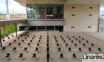 La Universidad de Jaén oferta para el curso académico 2020-2021 un total de 2.907 plazas de alumnado de Grado, 1.585 de Máster y 219 de Doctorado