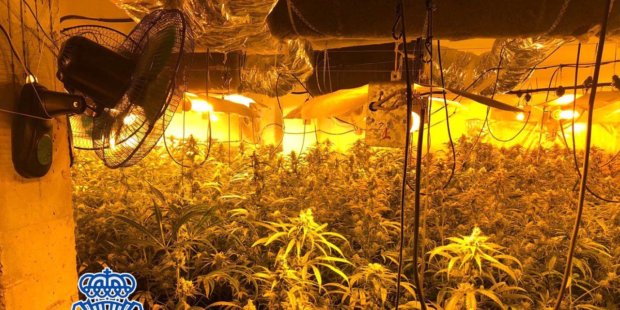 SUCESOS | Desmantelan en Linares un laboratorio clandestino de cultivo y elaboración de marihuana