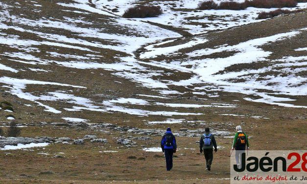 OPINIÓN | LAS GRANDES HELADAS TAMBIÉN SON CAMBIO CLIMÁTICO