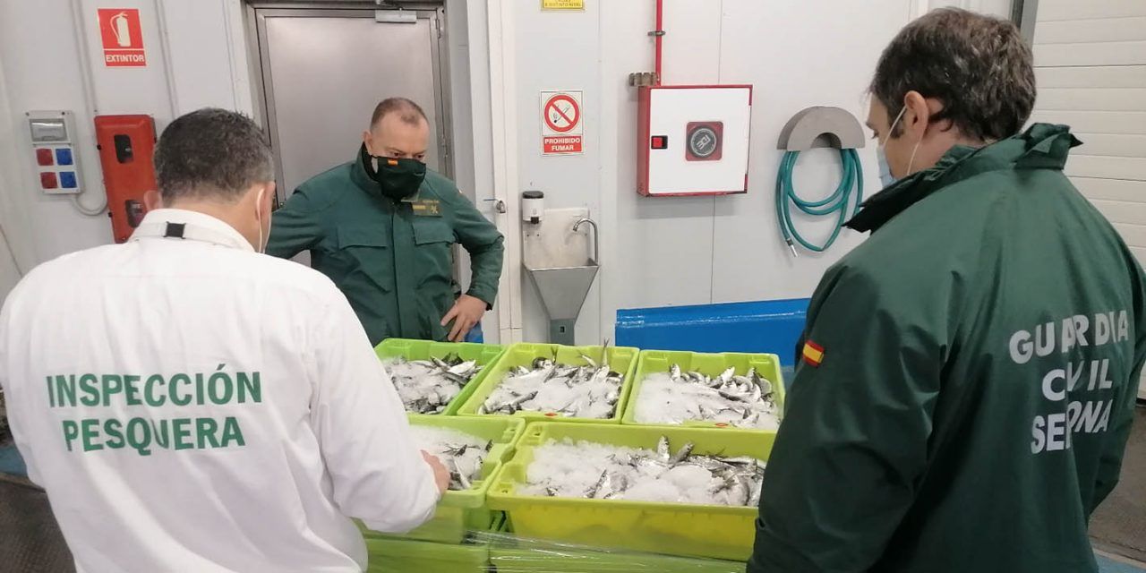 SUCESOS | Intervenidos 464 Kilogramos de pescado no apto para el consumo en el Polígono Guadiel