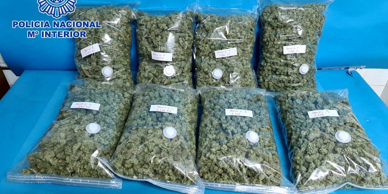 SUCESOS | Dos detenidos en Linares con más de diez kilogramos de cogollos de marihuana