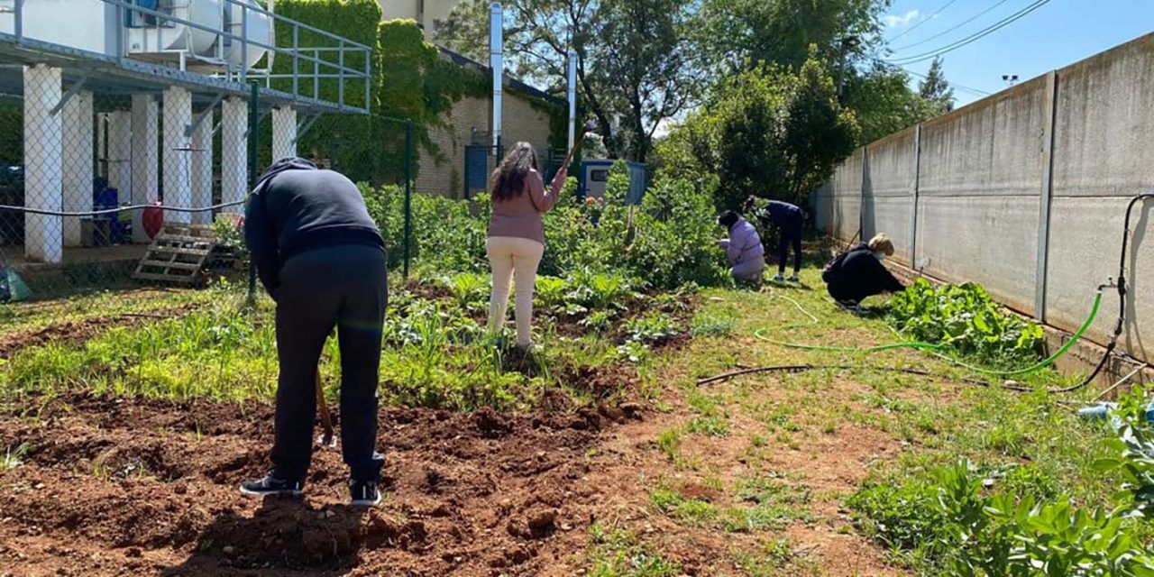 Pacientes de Salud Mental del Hospital de Linares cultivan un huerto ecológico