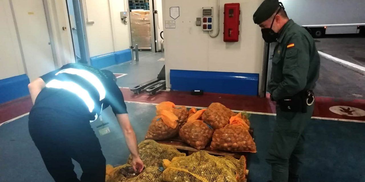 SUCESOS | Intervienen 588 kilogramos de pescado y marisco no apto para el Consumo