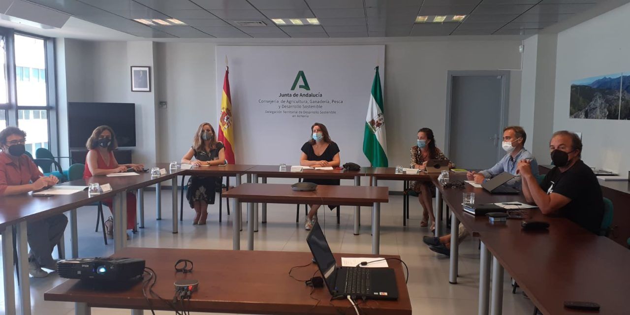 Infoca refuerza las tareas de vigilancia mediante vuelos preventivos sobre zonas forestales de Andalucía durante la ola de calor