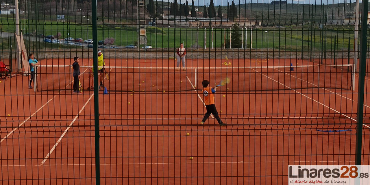 Linares albergará las fases provinciales de los Campeonatos de Andalucía de Tenis Absoluto y Benjamín