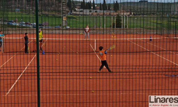 Linares albergará las fases provinciales de los Campeonatos de Andalucía de Tenis Absoluto y Benjamín